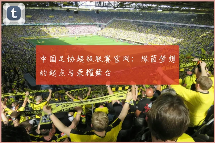中国足协超级联赛官网：绿茵梦想的起点与荣耀舞台